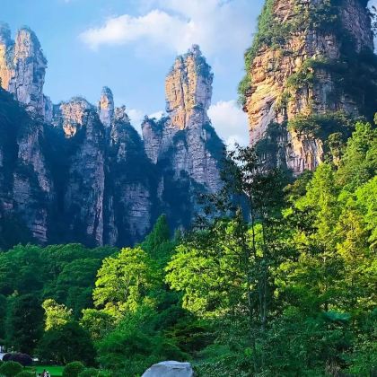 张家界+武陵源+天门山+凤凰古城3日2晚跟团游