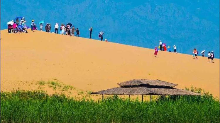 4D3N · Group Tours · Yinchuan + Zhongwei+gold medal guides, camel riding & sandboarding, dune buggy & karting, and desert bonfire.