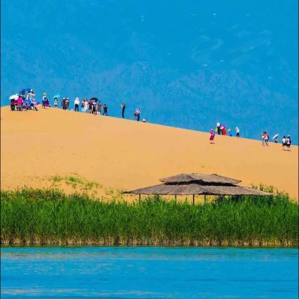 宁夏镇北堡西部影城+中卫沙坡头+沙湖生态旅游区2日1晚拼小团