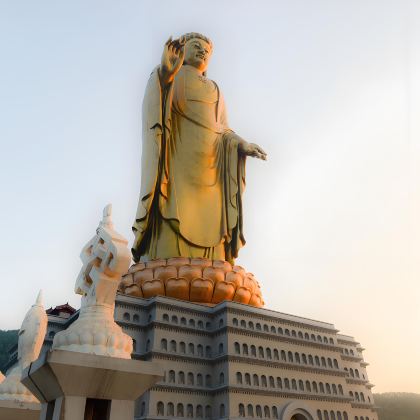 平顶山+三苏园景区+神垕古镇+香山普门禅寺+白龟湖国家湿地公园+中原大佛景区+墨子战国里5日4晚私家团