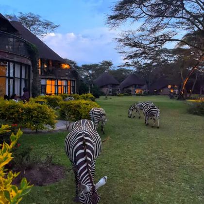 肯尼亚9日8晚拼小团