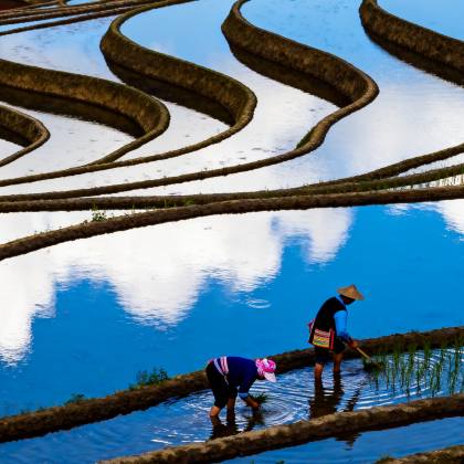 云南昆明+建水+元阳+弥勒+抚仙湖5日4晚私家团