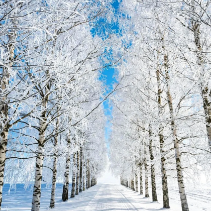 芬兰罗瓦涅米+凯米+列维+萨尼色尔卡+伊纳里+希尔克内斯8日7晚私家团