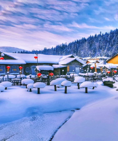 2日1晚 • 中國雪鄉·含金牌導遊·零小費｜馬拉爬犁＋夢幻家園二人轉＋雪地摩托＋十里畫廊