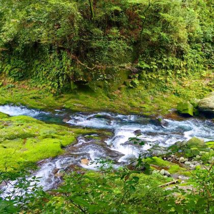 日本九州+熊本+别府+黑川温泉+鹿儿岛+宫崎9日8晚私家团