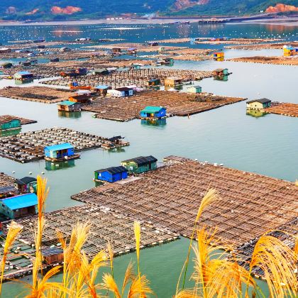 沙江S湾+高罗沙滩海水浴场+丹湾观景平台+半月里+光影栈道+东安岛4日3晚拼小团