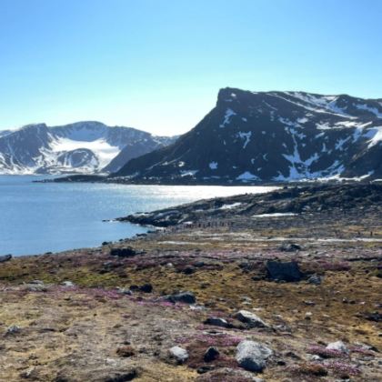 挪威斯瓦尔巴11日10晚拼小团