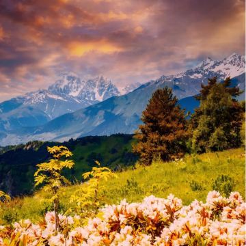 阿塞拜疆+格鲁吉亚+亚美尼亚15日14晚私家团