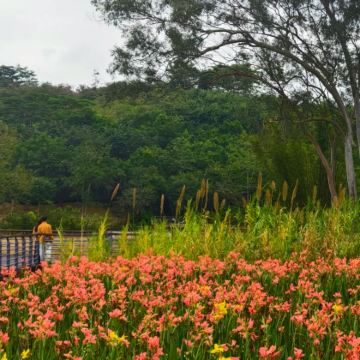 金钟水库+中山詹园+崖口村2日1晚私家团
