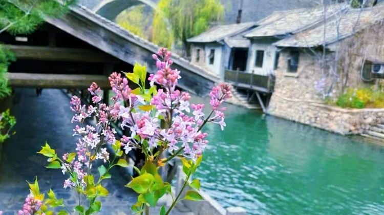 5D4N · Private Tours · Northern Water Town hidden in Beijing  Luxury Tour: The Palace Museum, Gubei Water Town & Simatai Great Wall