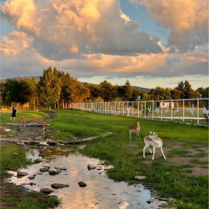 伊春6日5晚跟团游