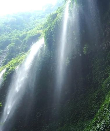 3D2N • Yogyakarta: Open trip to Bromo & Ijen, Bali transfer