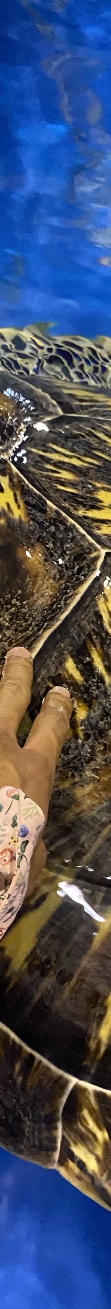 海趣花都海洋世界-昆明