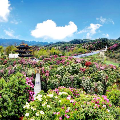 贵阳+毕节+六盘水+兴义+安顺6日5晚私家团