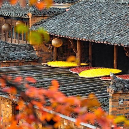 婺源篁岭景区+千岛湖+宏村4日3晚私家团