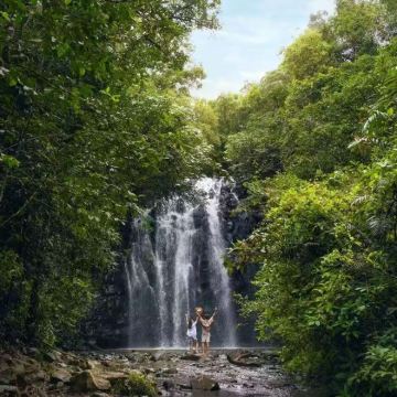 澳大利亚凯恩斯+帕罗尼拉公园+黛恩树雨林8日5晚私家团