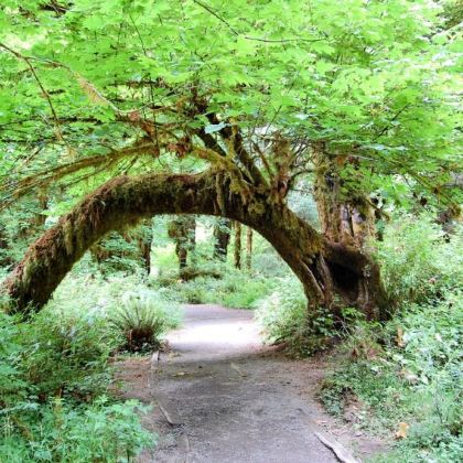 美国西雅图+波音工厂+华盛顿大学2日1晚拼小团