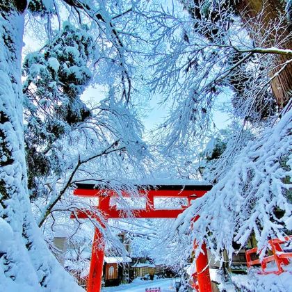 日本大阪+京都+宇治市+奈良市6日5晚私家团