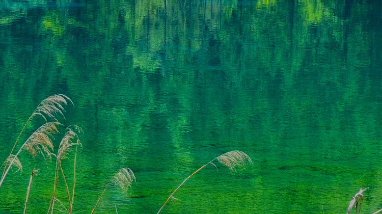 2D1N · Private Tours · Jiuzhaigou + Songpan Ancient City