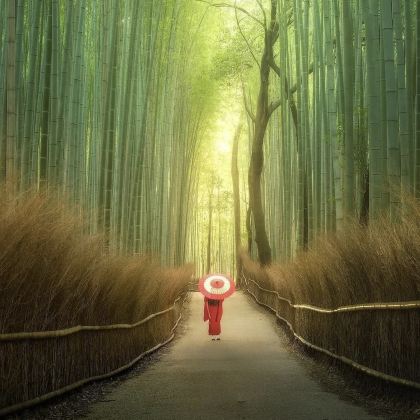 日本大阪+神户+京都+奈良+和歌山市7日6晚拼小团