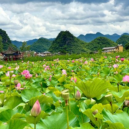 昆明+东川红土地+云南哀牢山国家级自然保护区+建水+元阳+蒙自+普者黑风景区+弥勒10日9晚拼小团