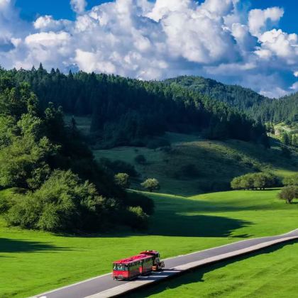 重庆+武隆天生三桥+仙女山国家森林公园5日4晚拼小团