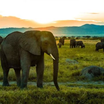 乌干达7日6晚私家团
