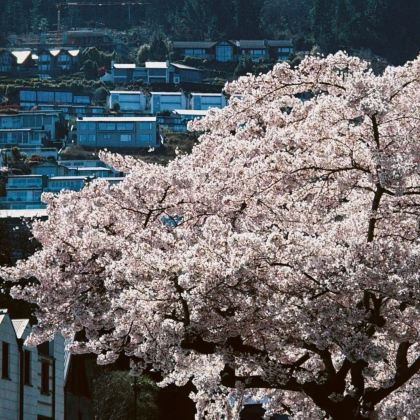 澳大利亚+新西兰10日8晚拼小团