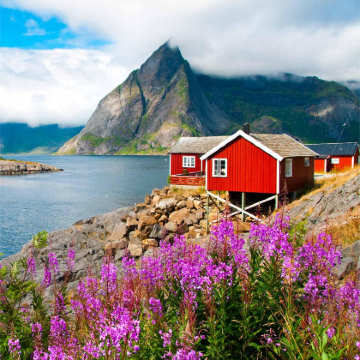 挪威特罗姆瑟+罗弗敦群岛+塞尼亚岛6日5晚跟团游