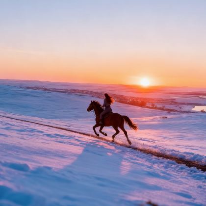 呼伦贝尔+额尔古纳+阿尔山7日6晚拼小团