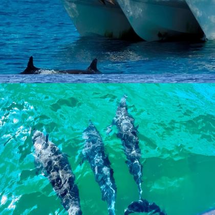 澳大利亚11日跟团游