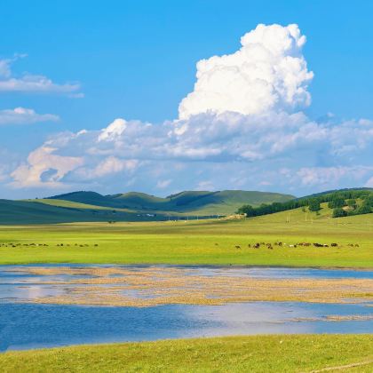 北京+张家口+坝上+承德+乌兰布统旅游区5日4晚拼小团