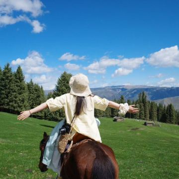 哈尔滨+齐齐哈尔+呼伦贝尔大草原+漠河+黑河+五大连池风景区+伊春12日11晚跟团游