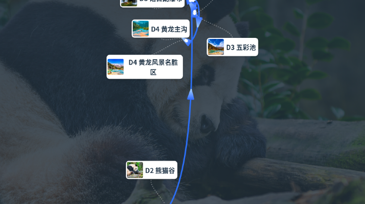 成都+2