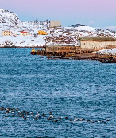 2D1N • Chase Aurora · Arctic Romance · Murmansk Travel Copy