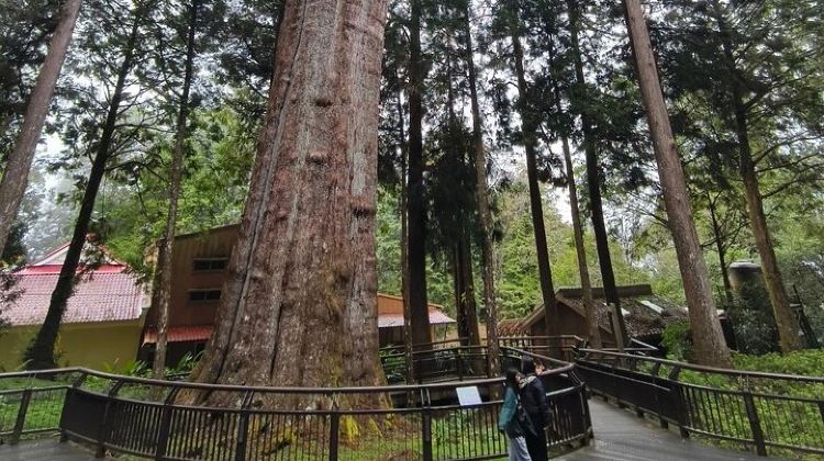 2-Day Alishan Taiwan 2 Day Private Tour from Taipei