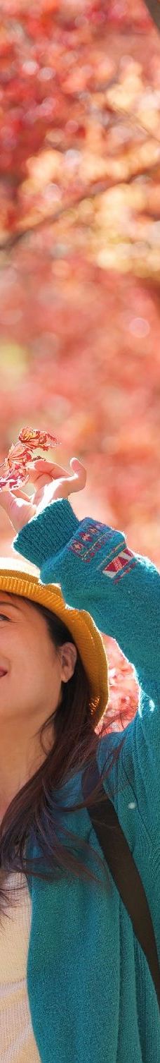 蒲石河森林公园-凤城