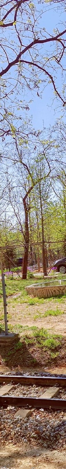 秦皇岛野生动物园-秦皇岛