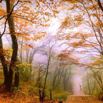 千岛湖+黄山风景区+宏村景区4日3晚跟团游