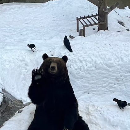 日本北海道札幌+富良野+美瑛町+网走+知床半岛+钏路6日5晚私家团