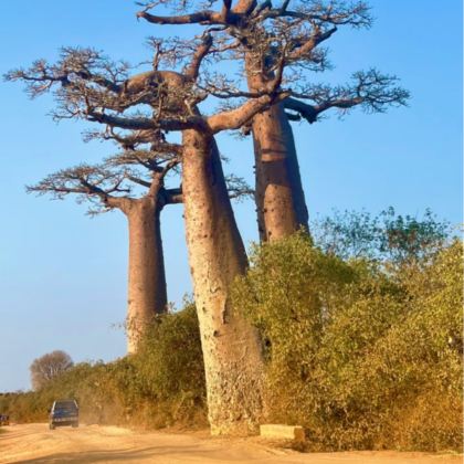 塞舌尔+毛里求斯+留尼汪（法属）+马达加斯加15日12晚私家团