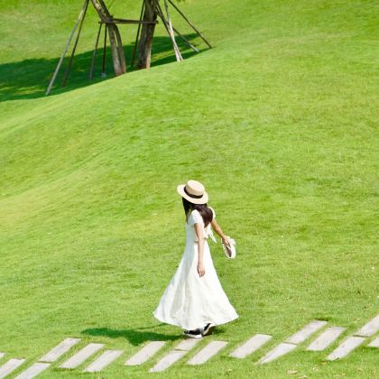 三亚+海口6日5晚跟团游