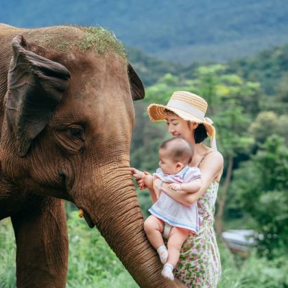 腾冲+西双版纳7日6晚拼小团