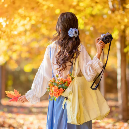 保山+瑞丽+芒市+腾冲6日5晚跟团游