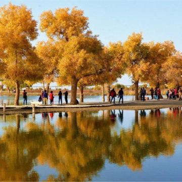 新疆南疆+喀什古城+罗布人村寨+温宿大峡谷+刀郎部落+帕米尔高原+盘龙古道+班迪尔蓝湖+莎车+和田约特干故城+塔里木胡杨林公园+塔克拉玛干沙漠+博斯腾湖10日9晚私家团