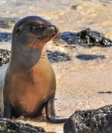 7D6N • 7 Days Tour Galapagos Island Hopping with 3 Islands