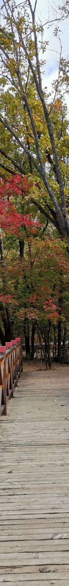 蒲石河森林公园-凤城