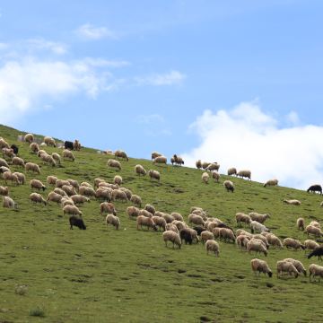 拉萨+日喀则+布达拉宫+大昭寺+羊卓雍错+卡若拉冰川+珠峰大本营+纳木措景区7日6晚拼小团