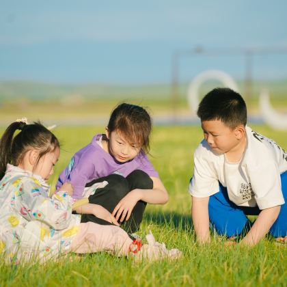 内蒙古呼伦贝尔+满洲里+额尔古纳6日5晚私家团