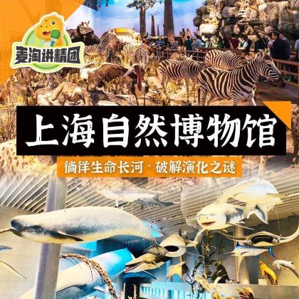 博物馆讲解•上海自然博物馆精讲2小时亲子营｜徜徉生命长河·破解演化之谜